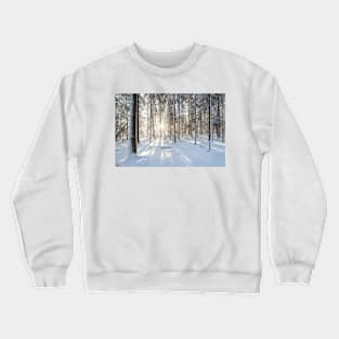 Sunshine in winter forest evening Crewneck Sweatshirt